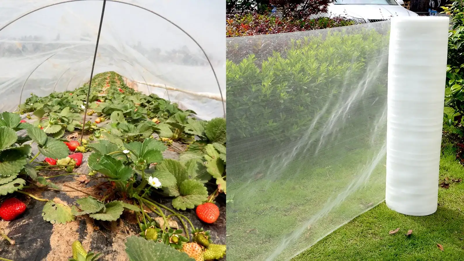 چرا باید از توری ضد حشره استفاده کنیم