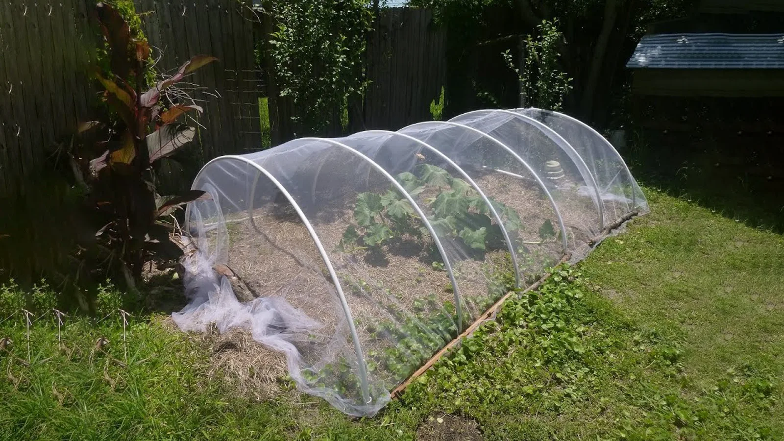 چگونه توری ضد تریپس مناسب را انتخاب کنیم