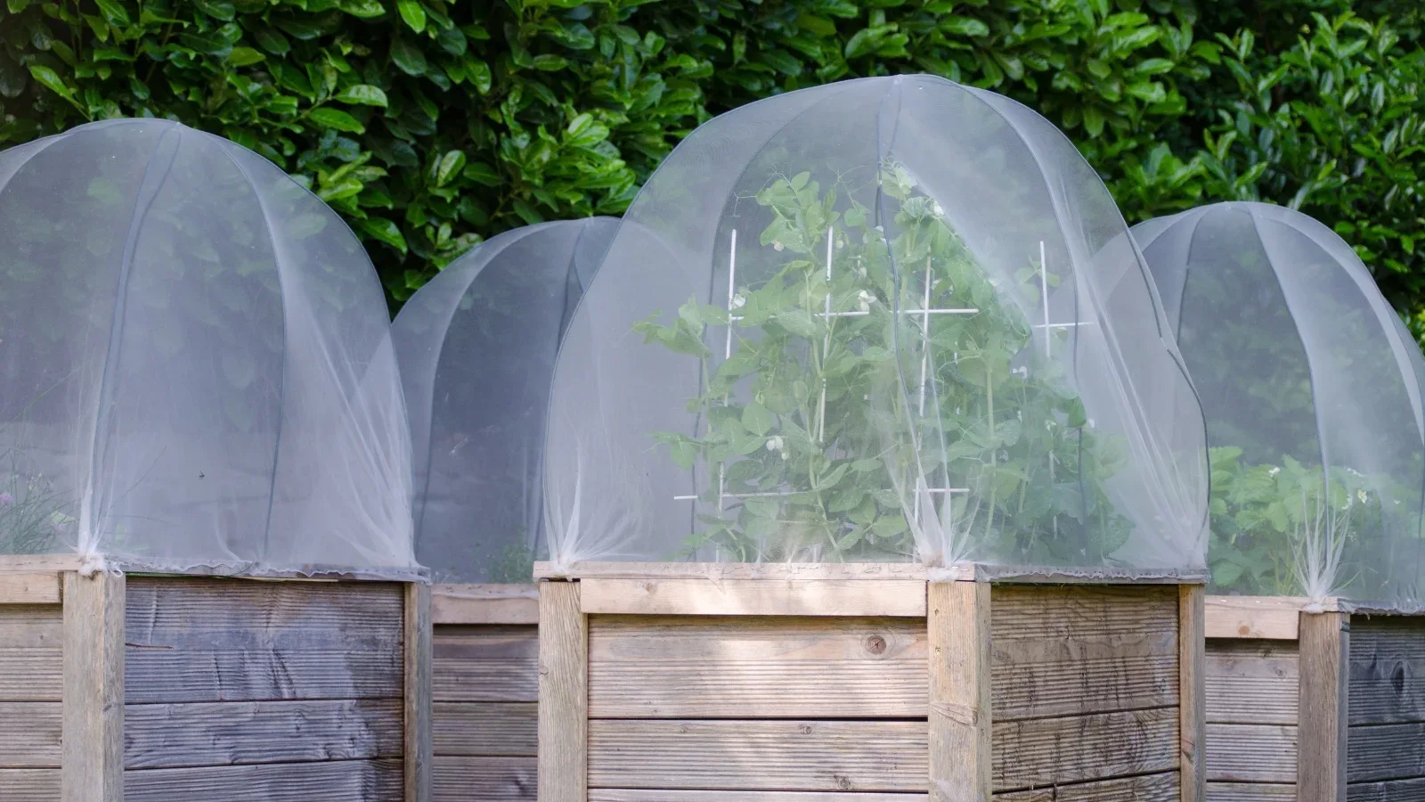 عملکرد توری آنتی تریپس