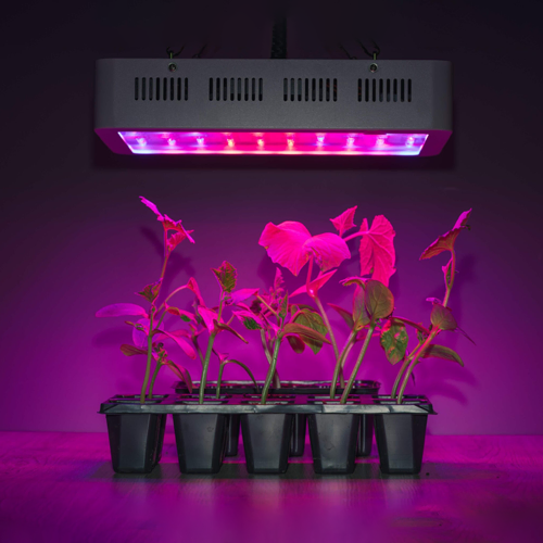 انواع لامپ رشد گیاه