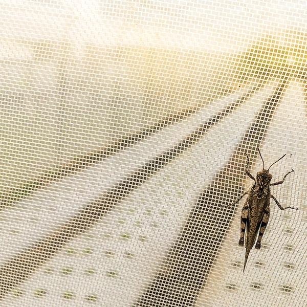 خرید توری ضد حشره