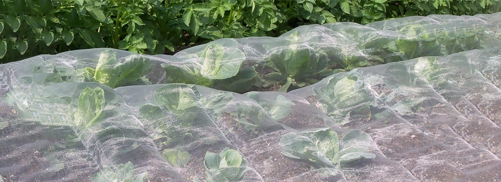 توری آنتی تریپس چطور از گیاهان محافظت می کند