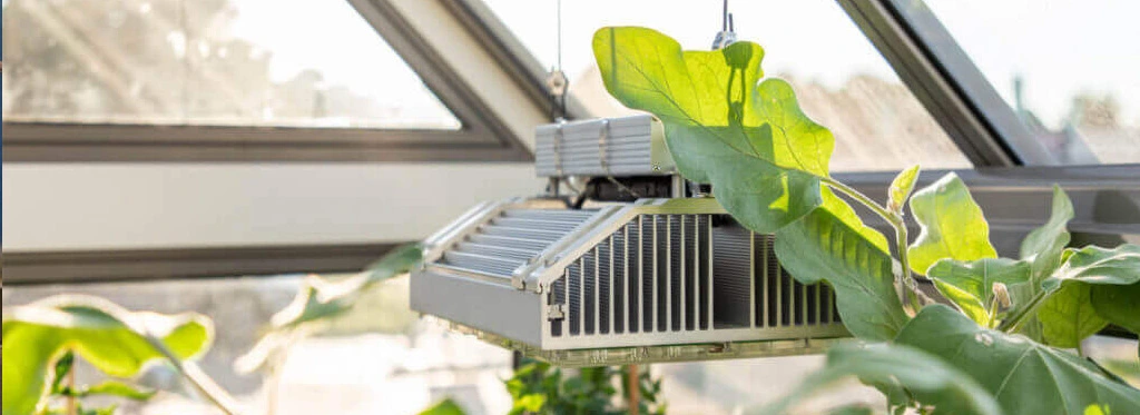 5 دلیلی استفاده از هیتر تابشی گلخانه