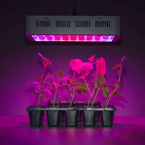 انواع لامپ رشد گیاه